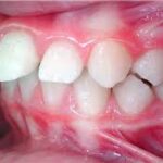 whatsapp image 2024 08 13 at 11.57.04 150x150